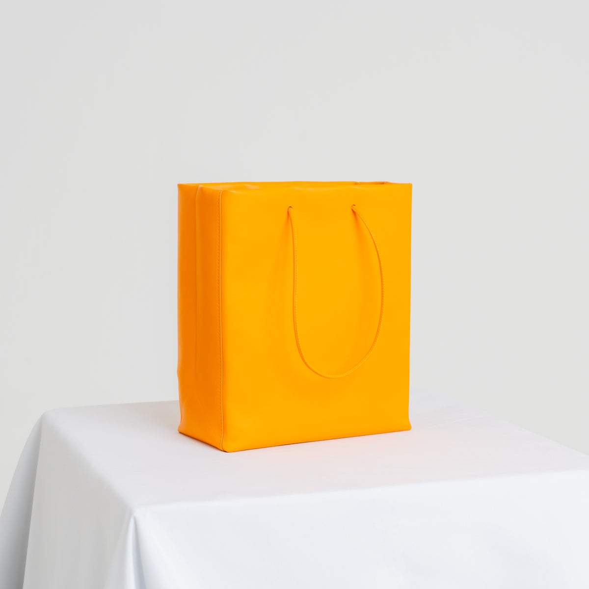 Leather Paper Bag
