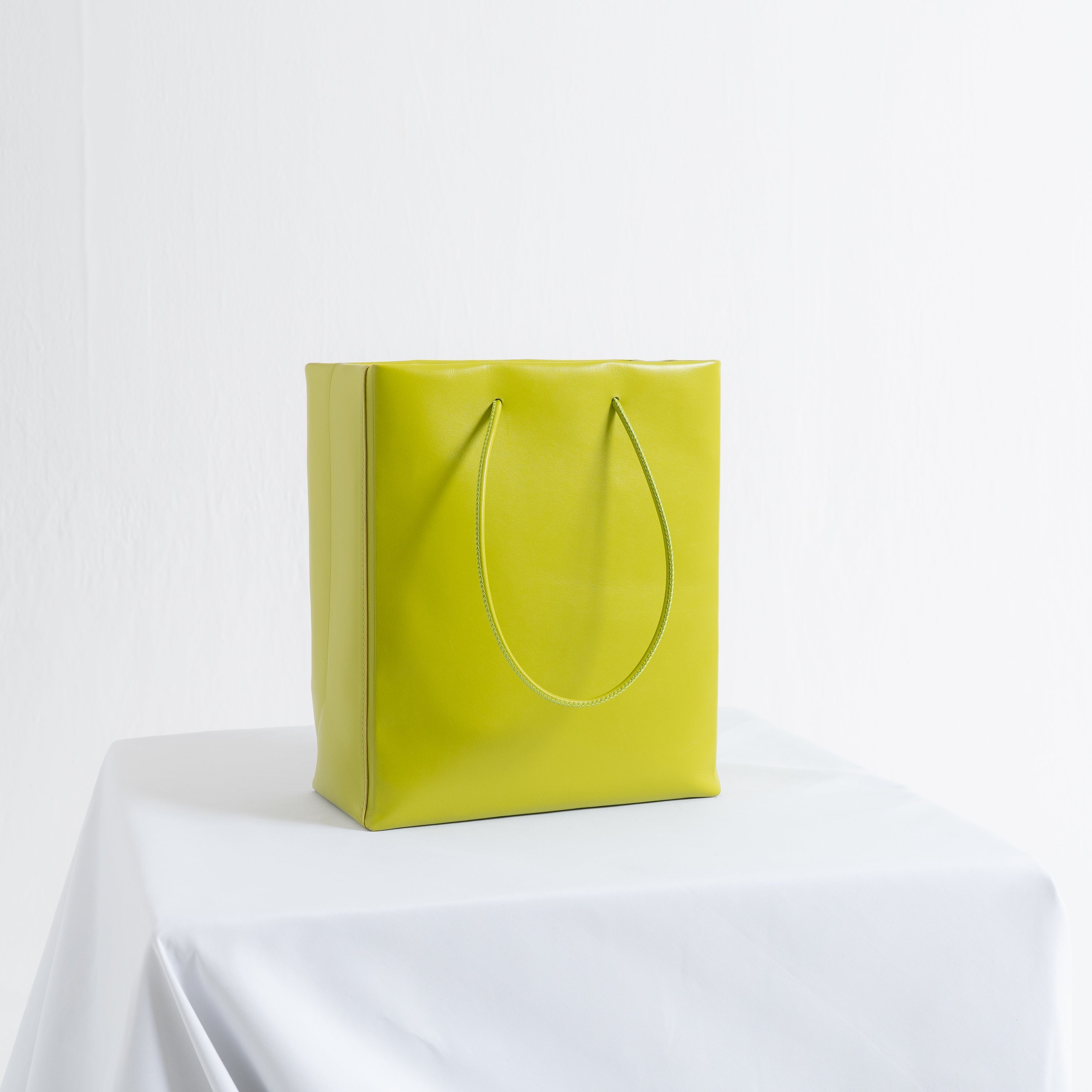 Leather Paper Bag