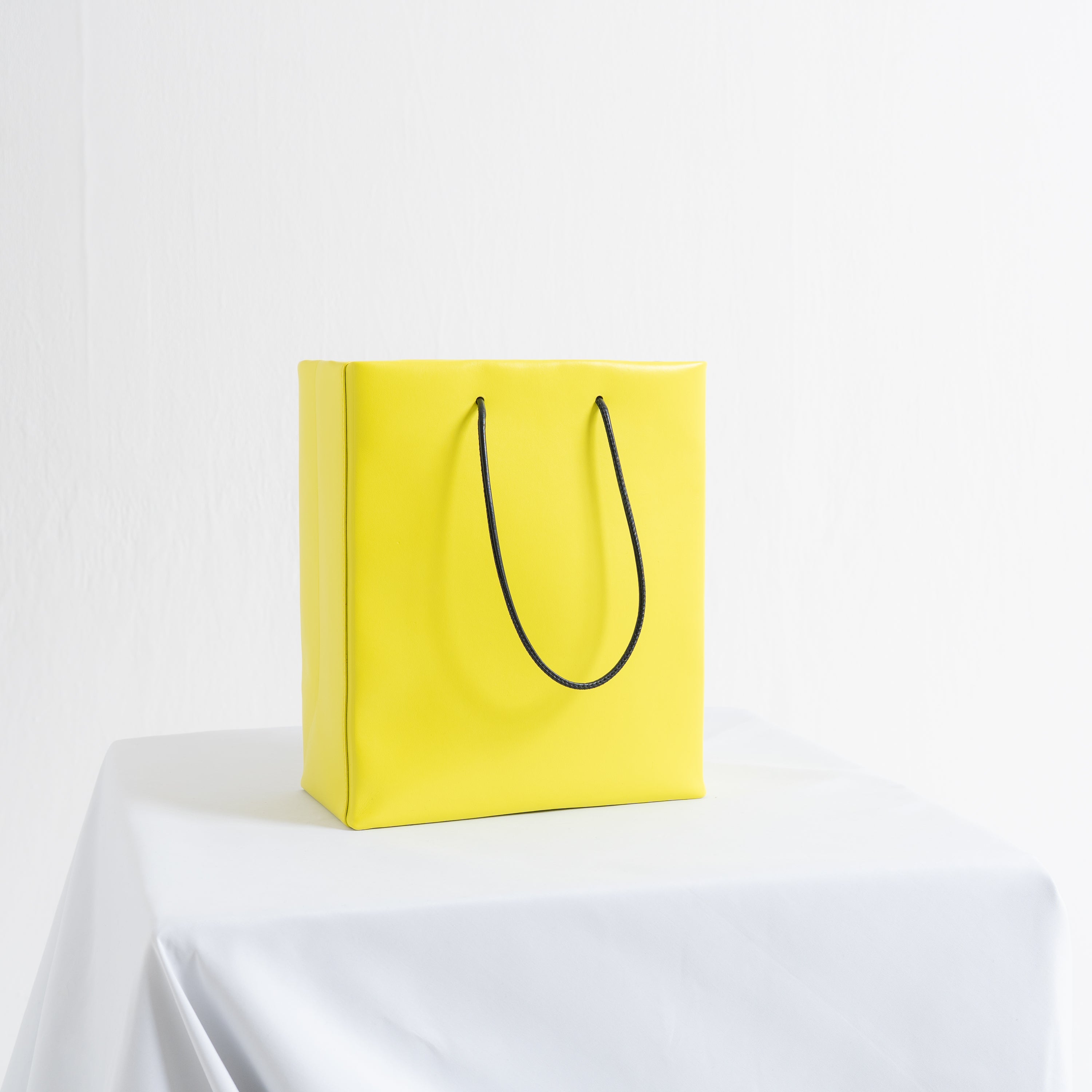 Leather Paper Bag