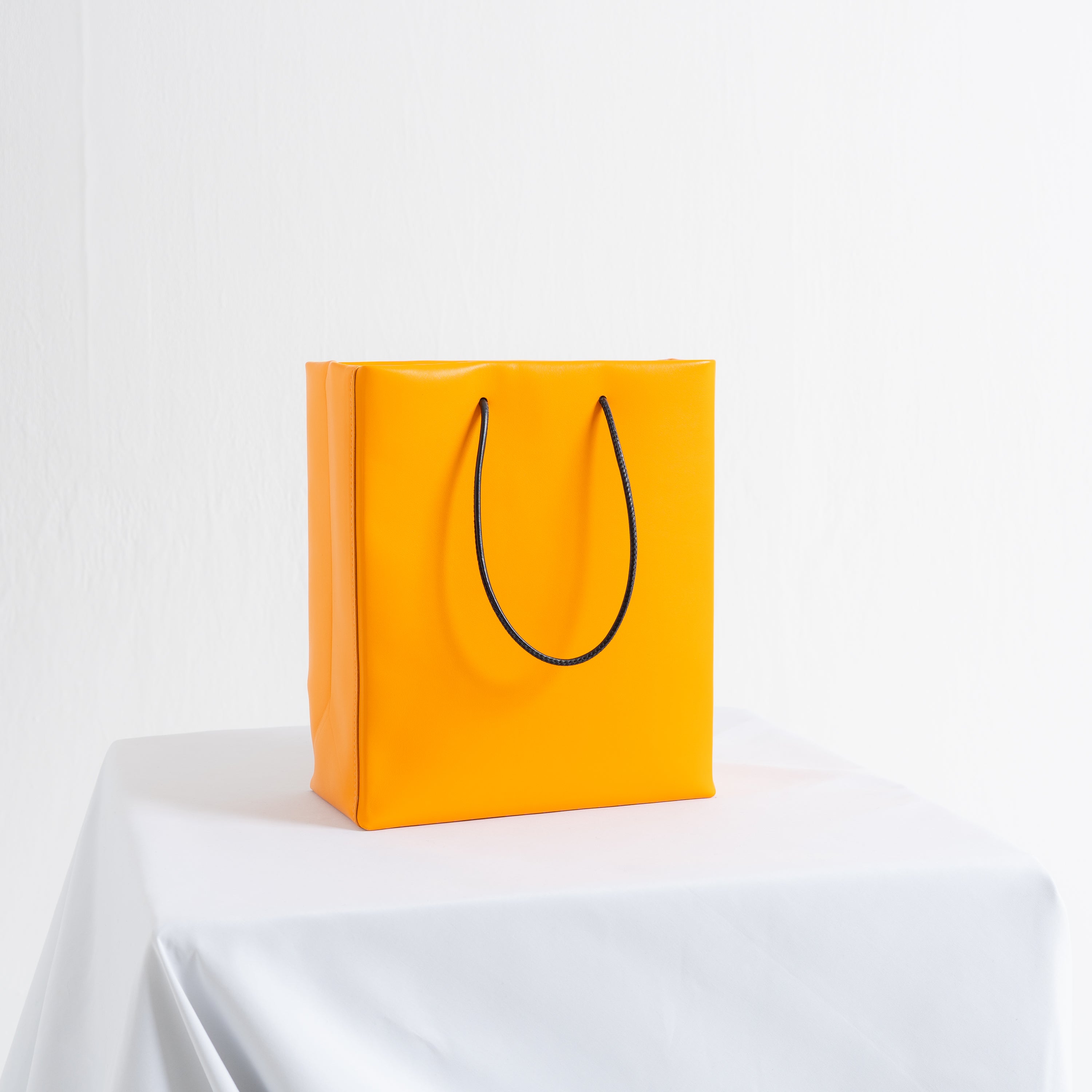 Leather Paper Bag