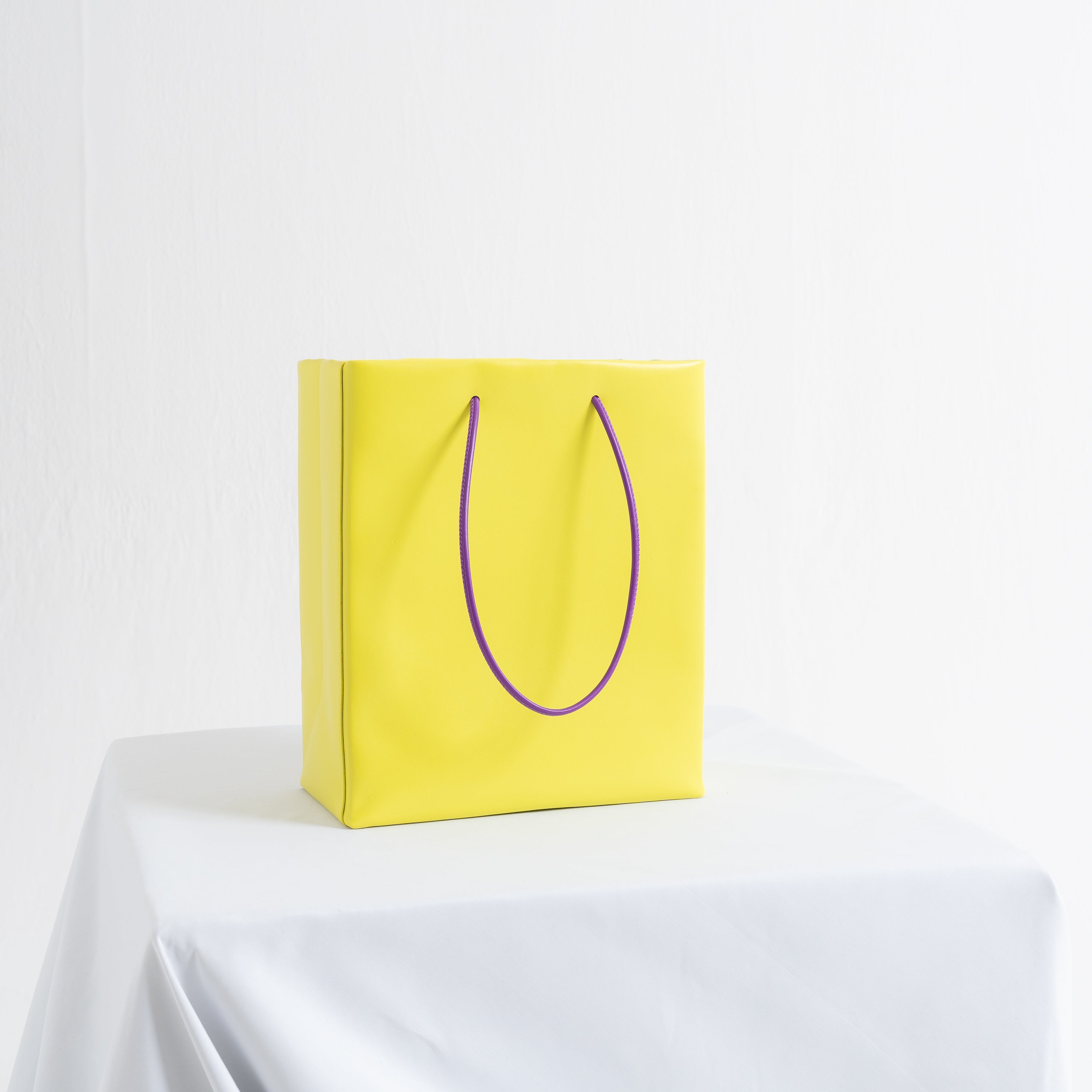 Leather Paper Bag