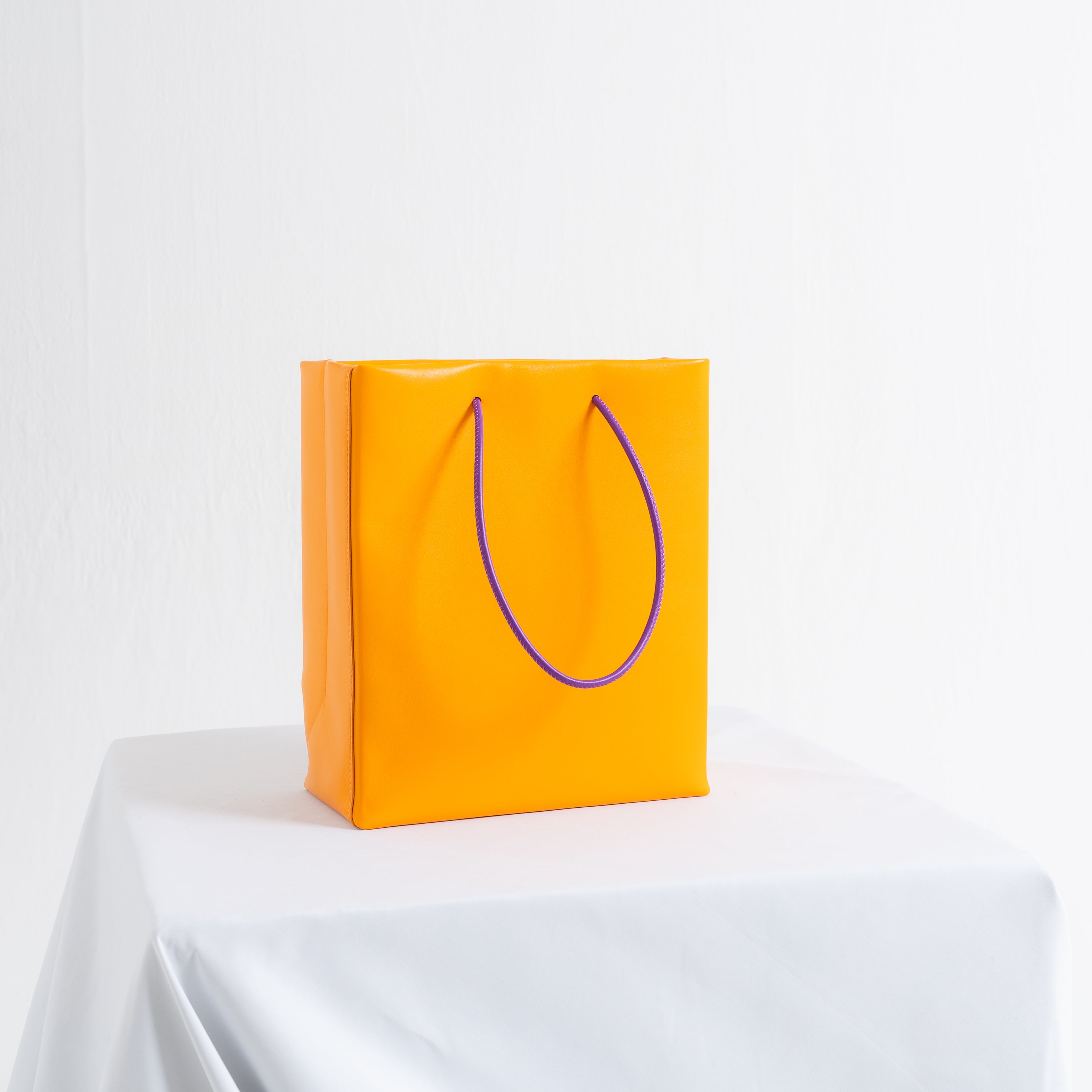 Leather Paper Bag