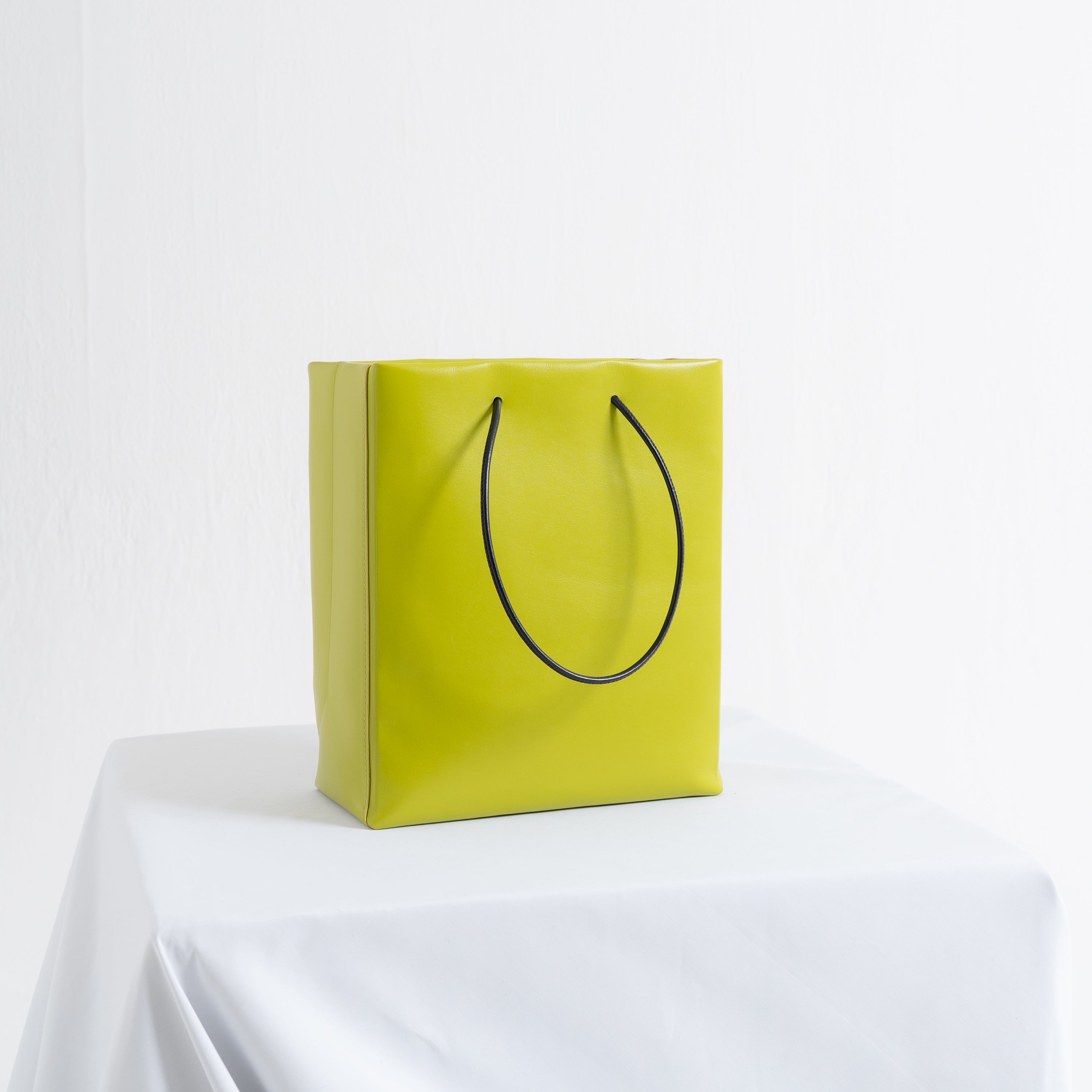 Leather Paper Bag